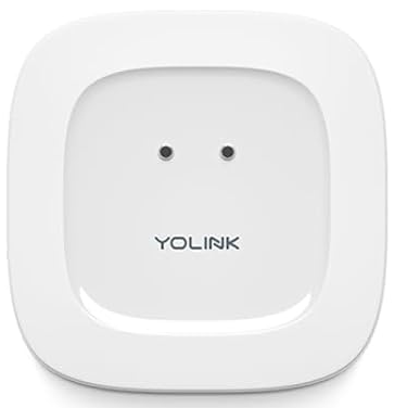 Water Leak Sensor product image